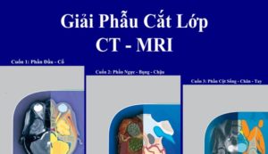 Giải phẫu cắt lớp CT-MRI Tiếng Việt trọn bộ 3 cuốn FULL