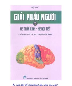 [A4] Giải Phẫu Người BYT - Tập 3