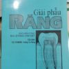 Giải phẫu răng