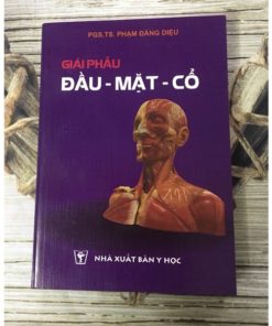 [A4] Đầu Mặt Cổ