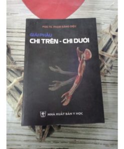 [A4] Chi Trên Chi Dưới