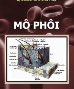 Mô phôi đại học tây nguyên