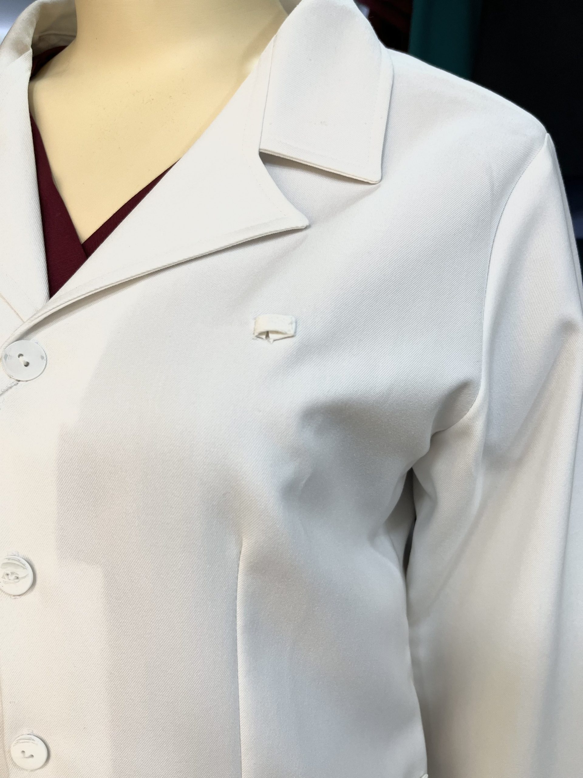 Mẫu Blouse Classic 04