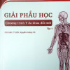 [A4] Giải Phẫu SG Đổi Mới - Tập 1