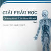 [A4] Giải Phẫu SG Đổi Mới - Tập 2