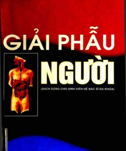 [A4] Giải Phẫu Người HN