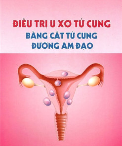 [Gốc] Điều Trị U Xơ Tử Cung Bằng Cắt Tử Cung Đường Âm Đạo - 2014 - Cuốn