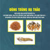 [Gốc] Đông Trùng Hạ Thảo - 2020 - Cuốn