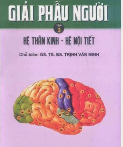 [Gốc] Giải Phẫu Người BYT - Tập 3 - Cuốn