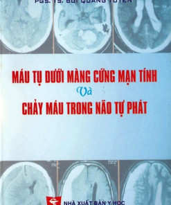 [Gốc] Máu Tụ Dưới Màng Cứng Mạn Tính Và Chảy Máu Trong Não Tự Phát - 2010 - Cuốn
